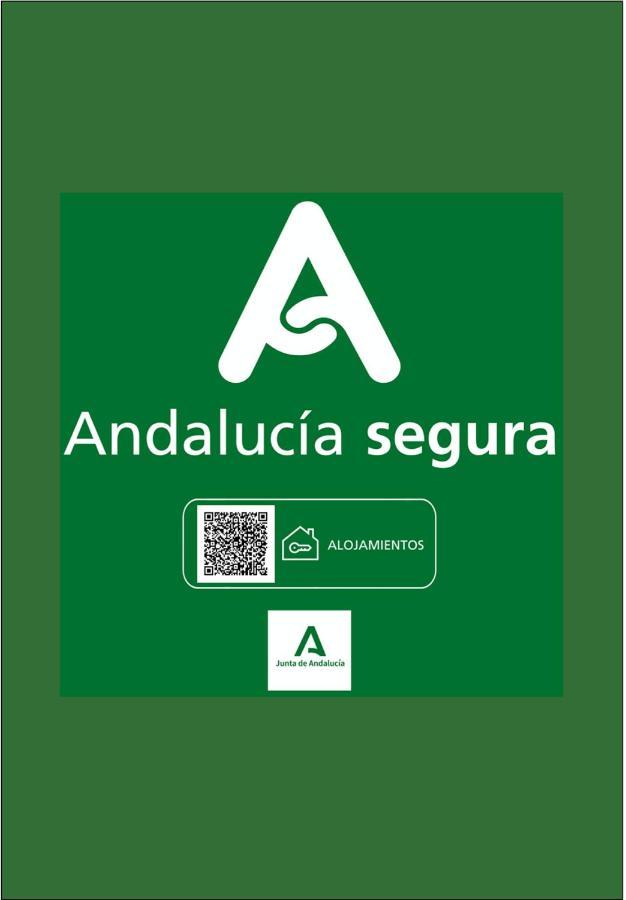 Holidays2Malaga Victoria High Speed Wifi Eksteriør billede